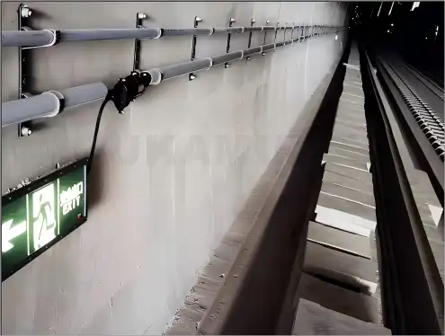 Branch Cable System Branch Cable System